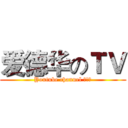 爱德华のＴＶ (Youtube channel 爱德华)