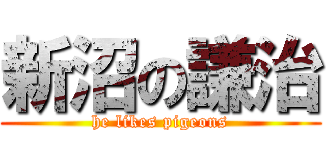 新沼の謙治 (he likes pigeons)