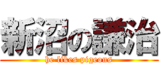 新沼の謙治 (he likes pigeons)