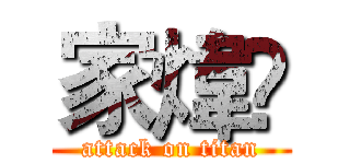 家煒 (attack on titan)