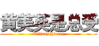 黄美英是总受 (Tiffany Hwang)