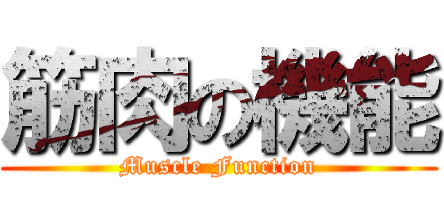筋肉の機能 (Muscle Function)
