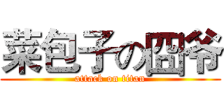 菜包子の囧爷 (attack on titan)