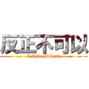 反正不可以 (I Love Mikasa)