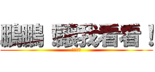 鵬鵬！讓我看看！ (不要！！)