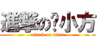 進撃の婷小方 (attack on titan)