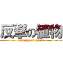 反撃の植物 (revenge of plant)