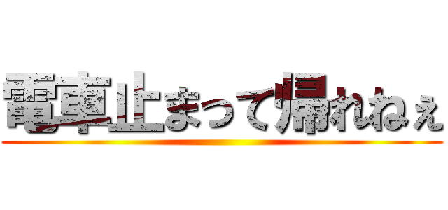 電車止まって帰れねぇ ()