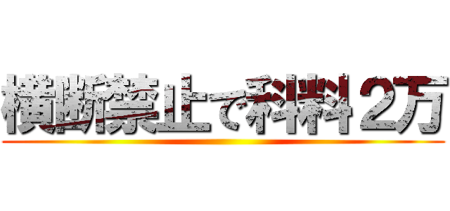 横断禁止で科料２万 ()