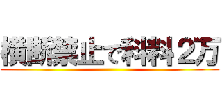 横断禁止で科料２万 ()