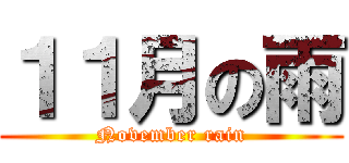 １１月の雨 (November rain)