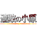 連敗の小原 (nature flag breaker)