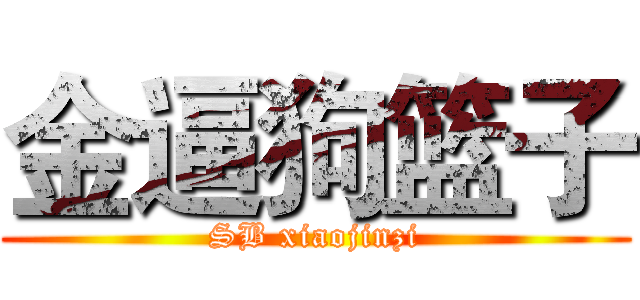 金逼狗篮子 (SB xiaojinzi)