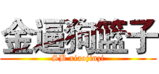 金逼狗篮子 (SB xiaojinzi)