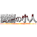 愛鷹の小人 (Love falcon on KINOCO)