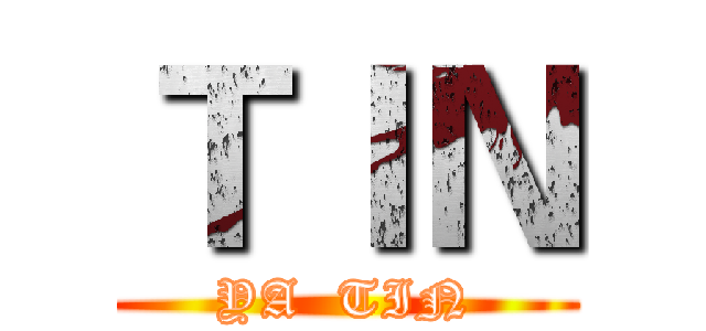 ＴＩＮ (YA  TIN)