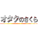 オタクのさくら (attack on titan)