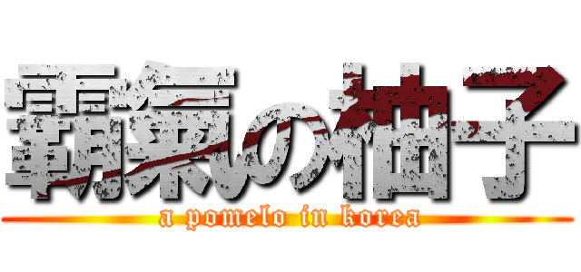 霸氣の柚子 ( a pomelo in korea)