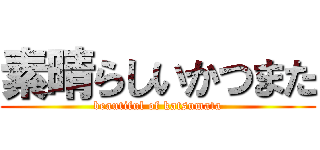 素晴らしいかつまた (beautiful of katsumata)