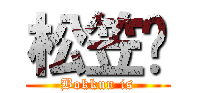 松笠‼ (Bokkun is)