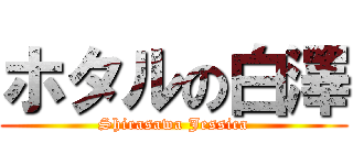 ホタルの白澤 (Shirasawa Jessica)