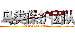 鸟类保护团队 (attack on titan)