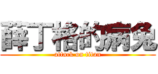 薛丁格的病兔 (attack on titan)