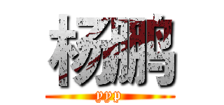 杨鹏 (yyp)