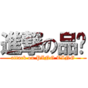 進撃の品婷 (attack on PING TING)