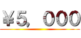 ￥５，０００ ()
