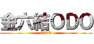 金六結ＯＤＯ (ODO)