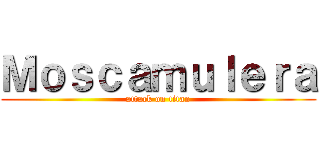 Ｍｏｓｃａｍｕｌｅｒａ (attack on titan)