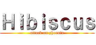 Ｈｉｂｉｓｃｕｓ (attack on phoenix)