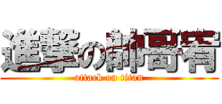 進撃の帥哥宥 (attack on titan)