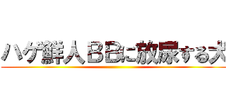 ハゲ鮮人ＢＢに放尿する犬 ()