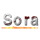 Ｓｏｒａ (Kinomoto)