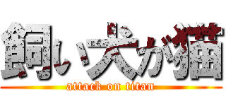 飼い犬が猫 (attack on titan)