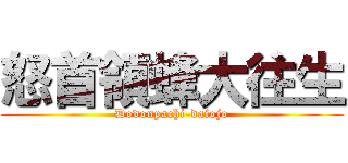怒首領蜂大往生 (Dodonpachi-daiojo)