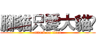 腳貓只愛大貓❤ (attack on titan)