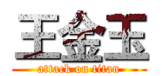 王金玉 (attack on titan)