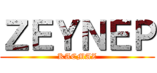 ＺＥＹＮＥＰ (KACMAZ)
