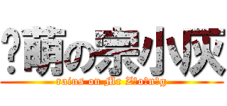 卖萌の宗小灰 (rains on Mr Z o n g)