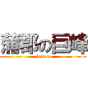 蒲郡の巨峰 (budou)