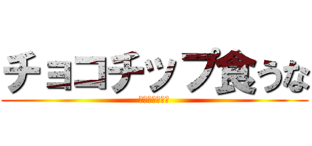 チョコチップ食うな (しょう　みやぎ)
