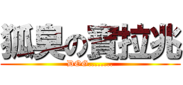 狐臭の寶拉兆 (DOG........)