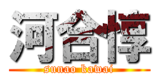 河合惇 (sunao kawai)