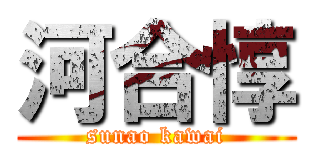 河合惇 (sunao kawai)