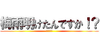 梅雨明けたんですか！？ (ﾔｯﾀｰ！)