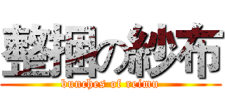 整捆の紗布 (bunches of reimu)