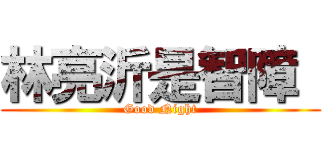 林亮沂是智障  (Good Night)